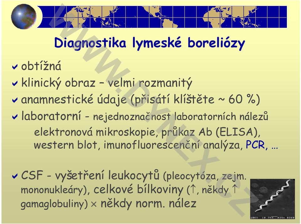 elektronová mikroskopie, průkaz Ab (ELISA), western blot, imunofluorescenční analýza, PCR, CSF