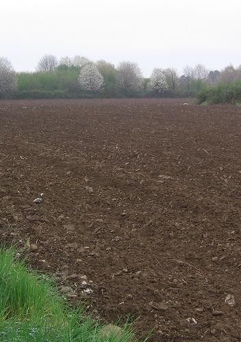 Hnědozem (HM) je typ půdy, která je typická svojí hnědou barvou od níž je odvozen i její název. Vzniká půdotvorným procesem v podobě ilimerizace.