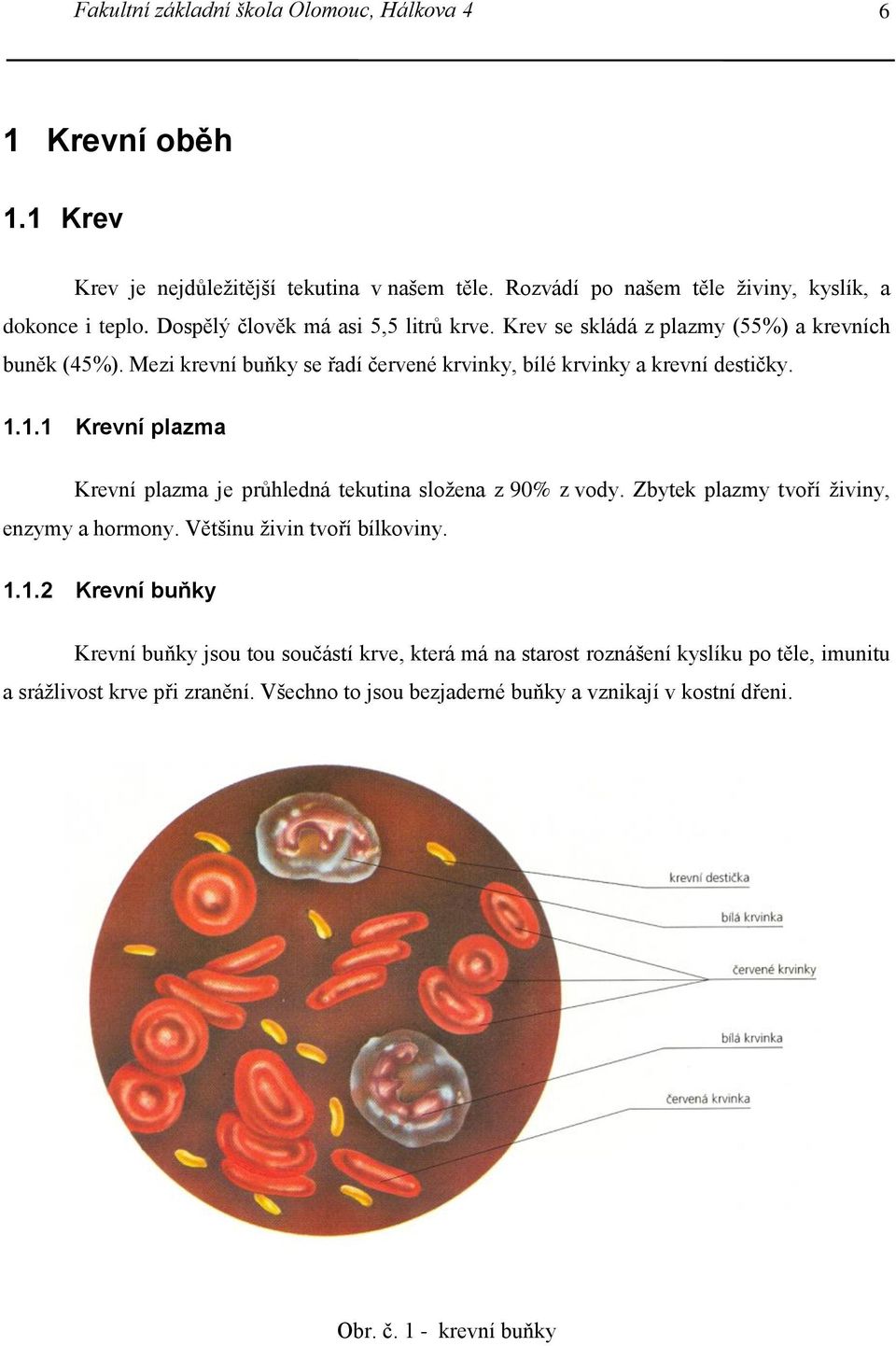 1.1 Krevní plazma Krevní plazma je průhledná tekutina složena z 90% z vody. Zbytek plazmy tvoří živiny, enzymy a hormony. Většinu živin tvoří bílkoviny. 1.1.2 Krevní buňky Krevní buňky jsou tou součástí krve, která má na starost roznášení kyslíku po těle, imunitu a srážlivost krve při zranění.