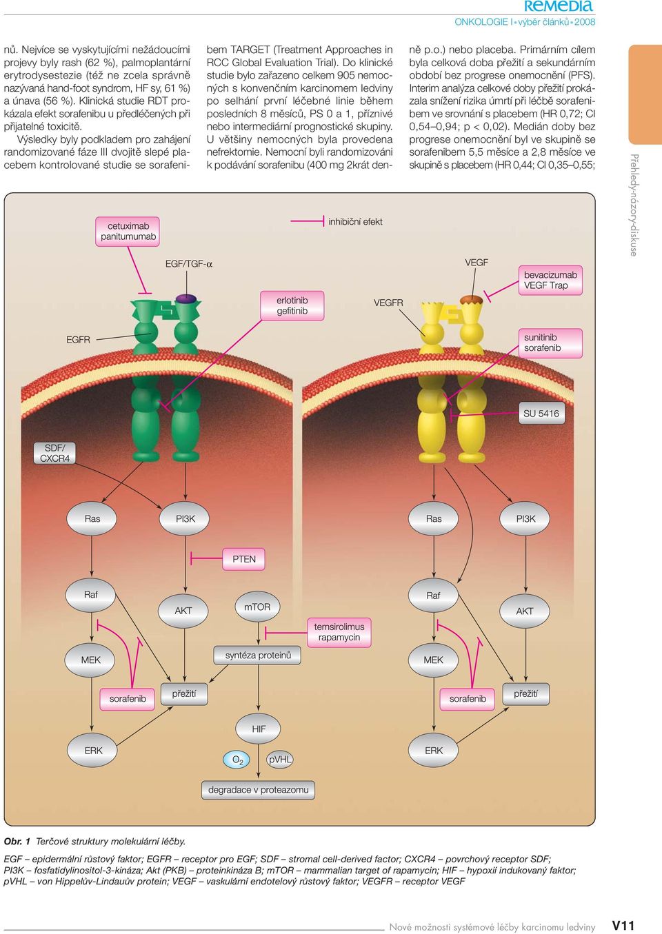 V sledky byly podkladem pro zahájení randomizované fáze III dvojitû slepé placebem kontrolované studie se sorafenibem TARGET (Treatment Approaches in RCC Global Evaluation Trial).