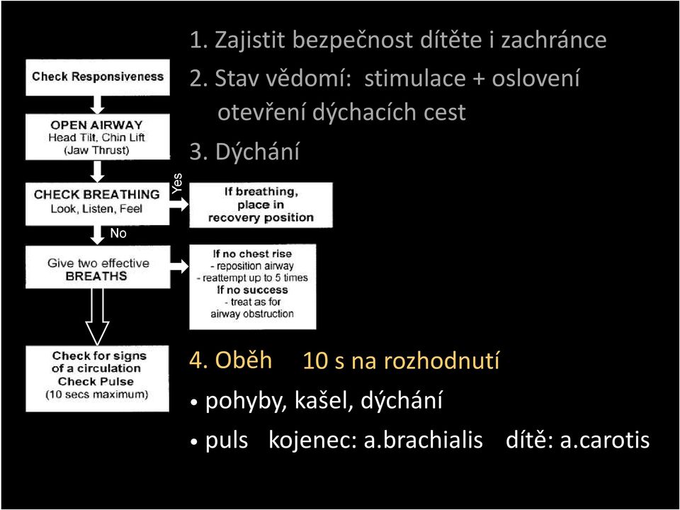 cest 3. Dýchání Yes No 4.