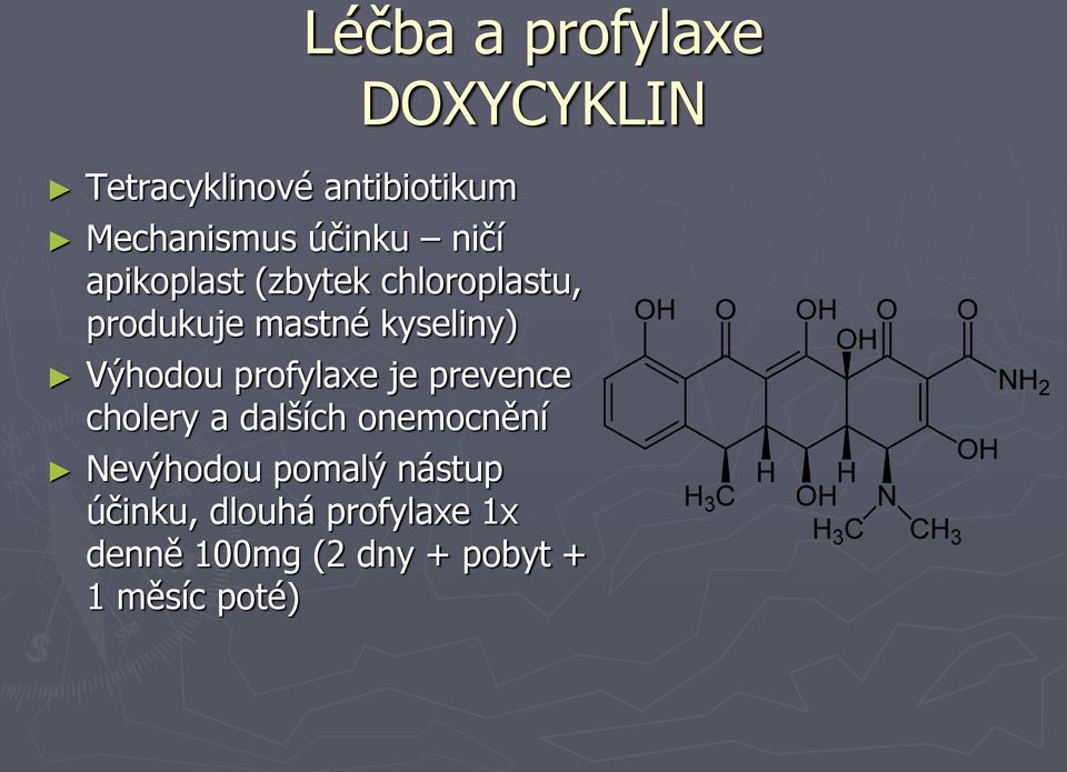 Výhodou profylaxe je prevence cholery a dalších onemocnění Nevýhodou