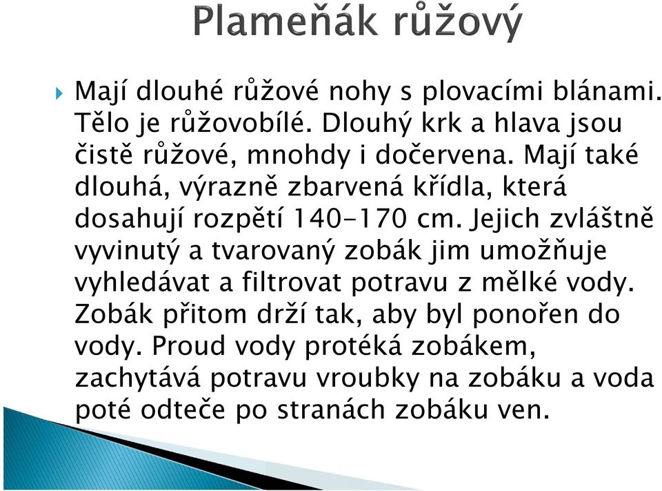 Mají také dlouhá, výrazně zbarvená křídla, která dosahují rozpětí 140-170 cm.