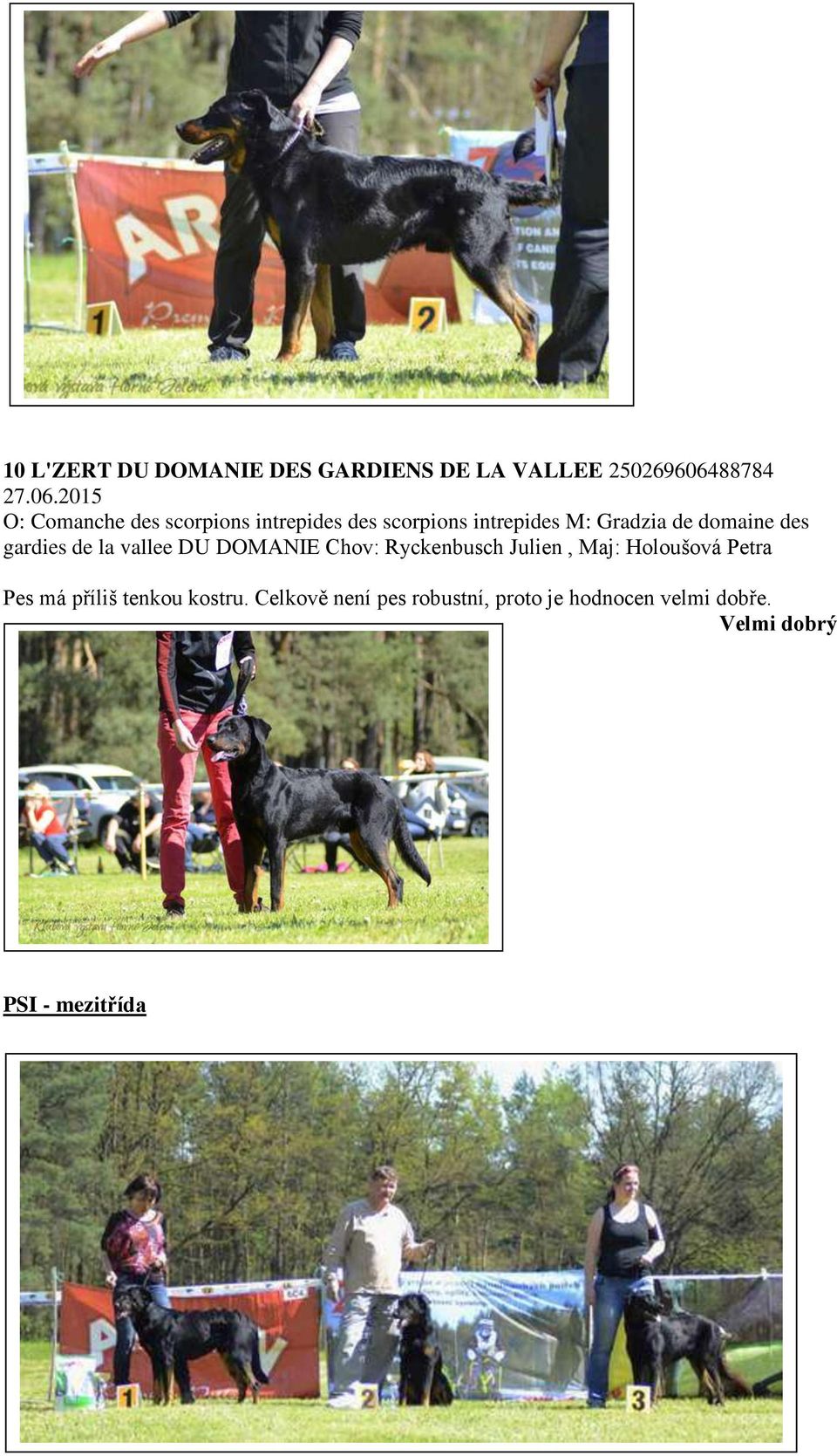 2015 O: Comanche des scorpions intrepides des scorpions intrepides M: Gradzia de domaine