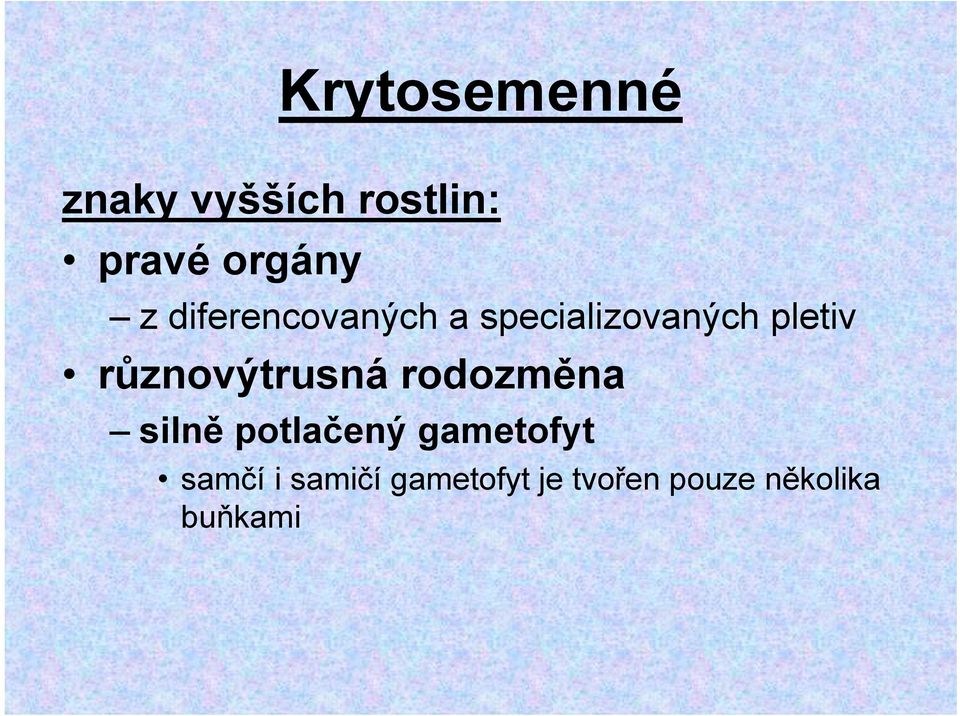 různovýtrusná rodozměna silně potlačený gametofyt