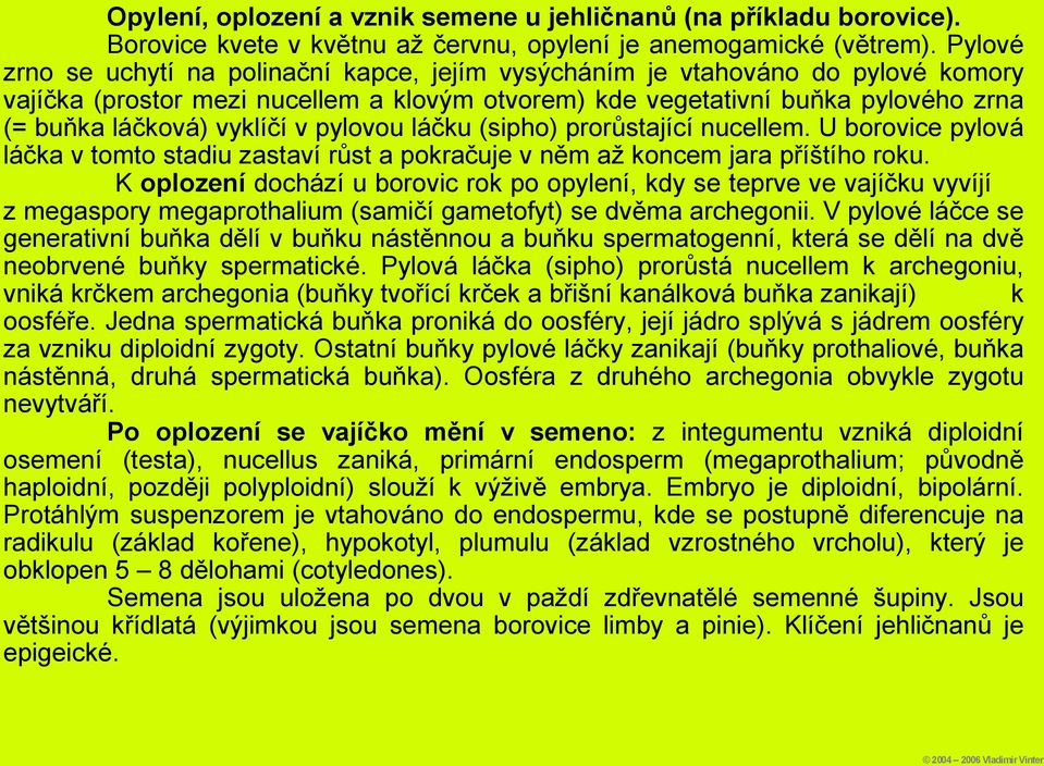 v pylovou láčku (sipho) prorůstající nucellem. U borovice pylová láčka v tomto stadiu zastaví růst a pokračuje v něm až koncem jara příštího roku.