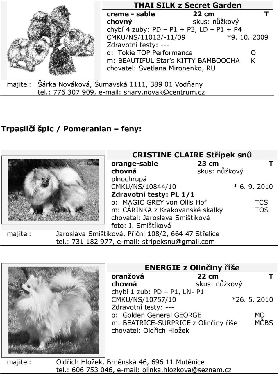 novak@centrum.cz rpasličí špic / Pomeranian feny: CRISINE CLAIRE Střípek snů orange-sable CMKU/NS/10844/10 * 6. 9.