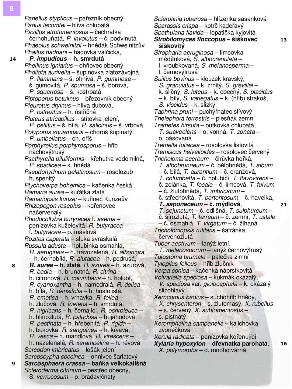 flammans š. ohnivá, P. gummosa š. gumovitá, P. spumosa š. borová, P. squarrosa š. kostrbatá Piptoporus betulinus březovník obecný Pleurotus dryinus hlíva dubová, P. ostreatus h.