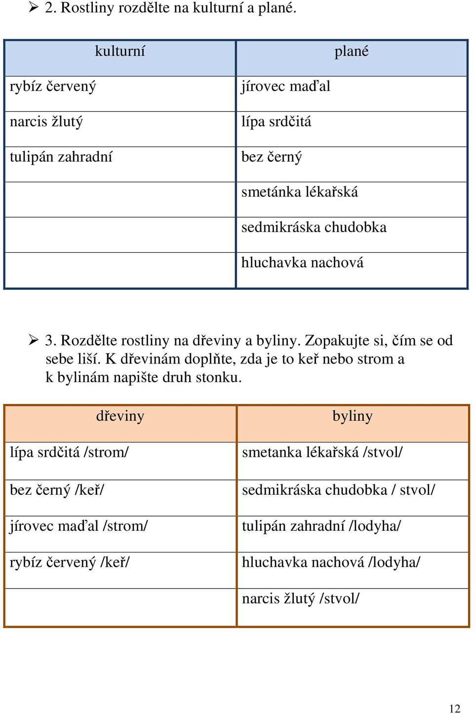 hluchavka nachová 3. Rozdělte rostliny na dřeviny a byliny. Zopakujte si, čím se od sebe liší.