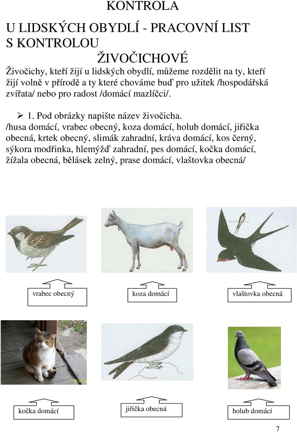 /husa domácí, vrabec obecný, koza domácí, holub domácí, jiřička obecná, krtek obecný, slimák zahradní, kráva domácí, kos černý, sýkora modřinka, hlemýžď