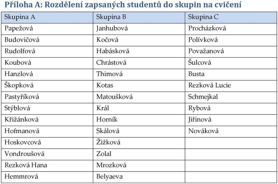 Thimová Busta Škopková Kotas Rezková Lucie Pastyříková Matoušková Schmejkal Stýblová Král Rybová Křižánková