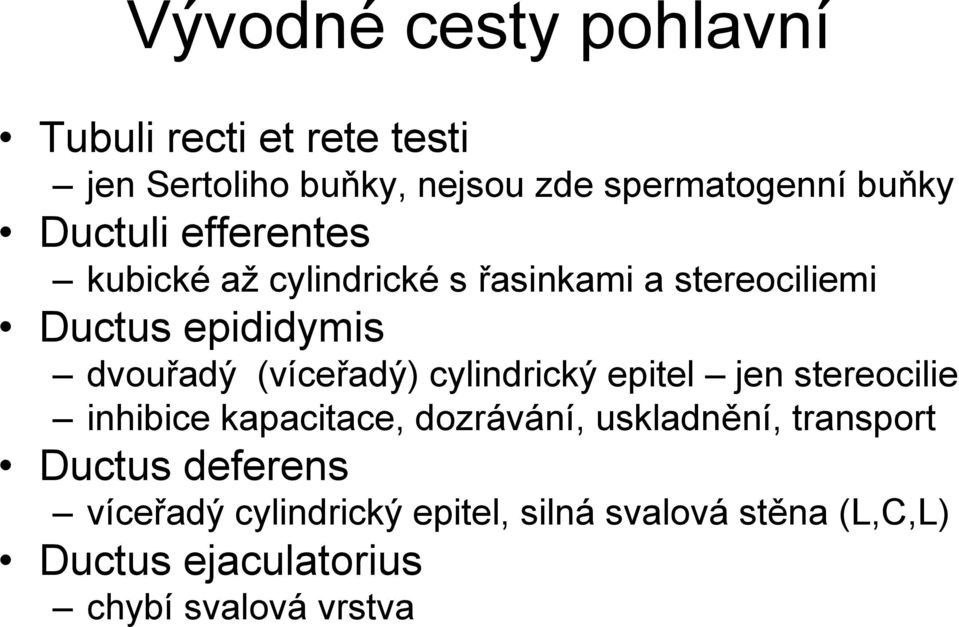 (víceřadý) cylindrický epitel jen stereocilie inhibice kapacitace, dozrávání, uskladnění, transport