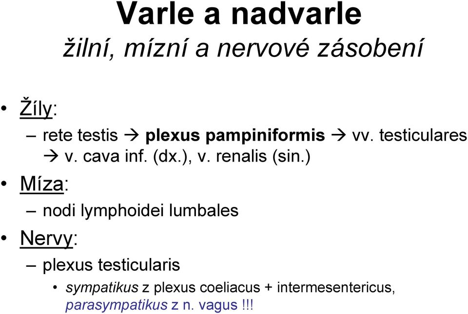 renalis (sin.