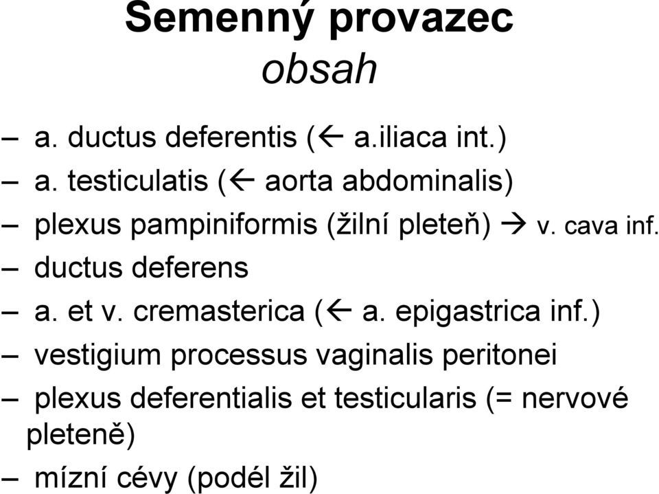 ductus deferens a. et v. cremasterica ( a. epigastrica inf.