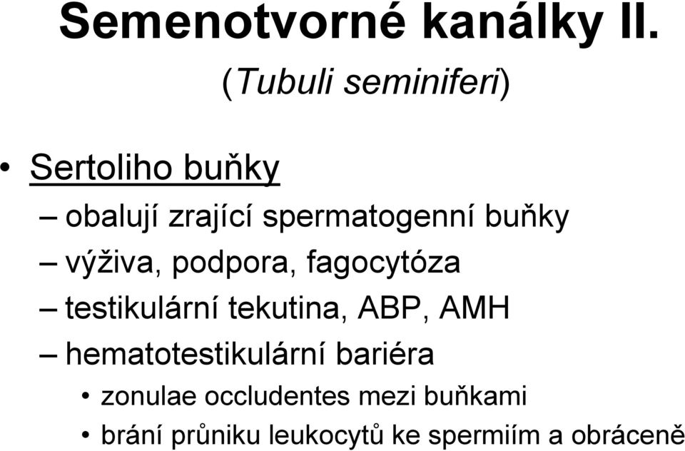 buňky výživa, podpora, fagocytóza testikulární tekutina, ABP, AMH