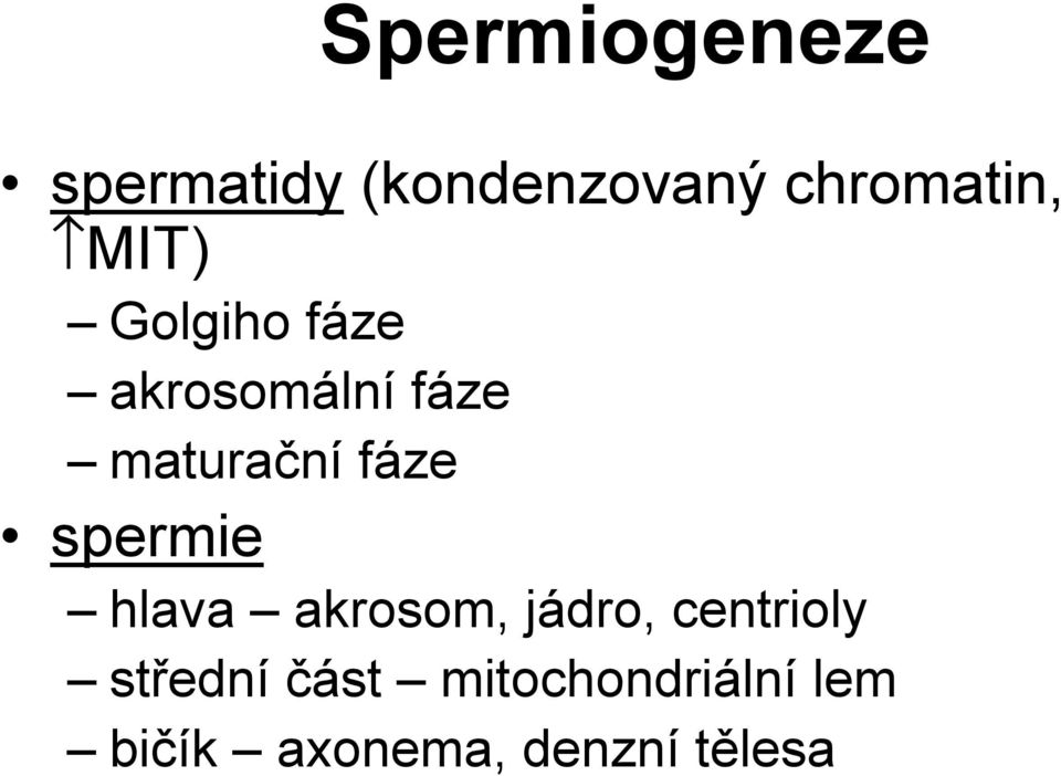 spermie hlava akrosom, jádro, centrioly střední