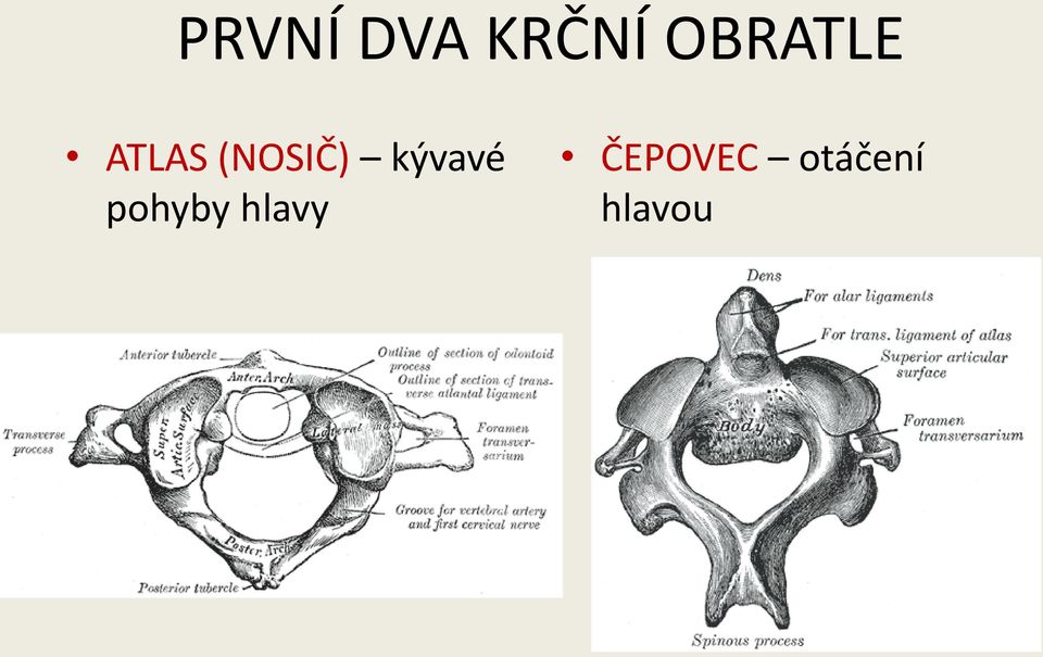 (NOSIČ) kývavé