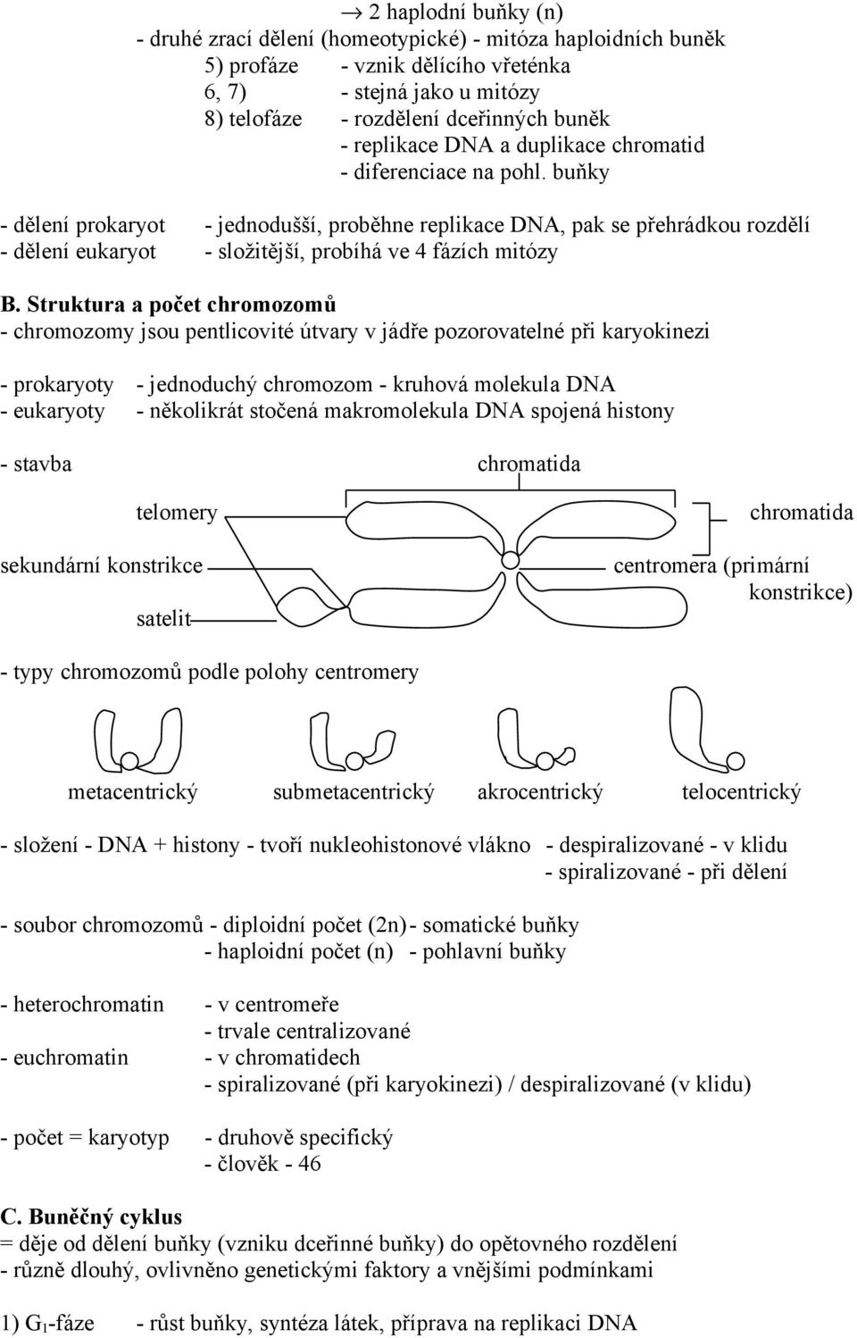 buňky - dělení prokaryot - jednodušší, proběhne replikace DNA, pak se přehrádkou rozdělí - dělení eukaryot - složitější, probíhá ve 4 fázích mitózy B.