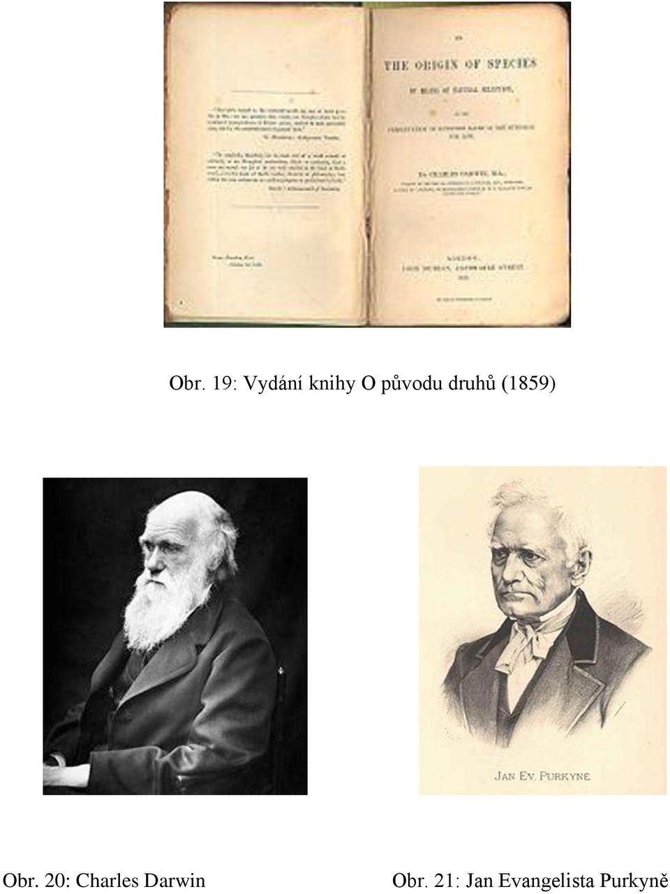 20: Charles Darwin Obr.
