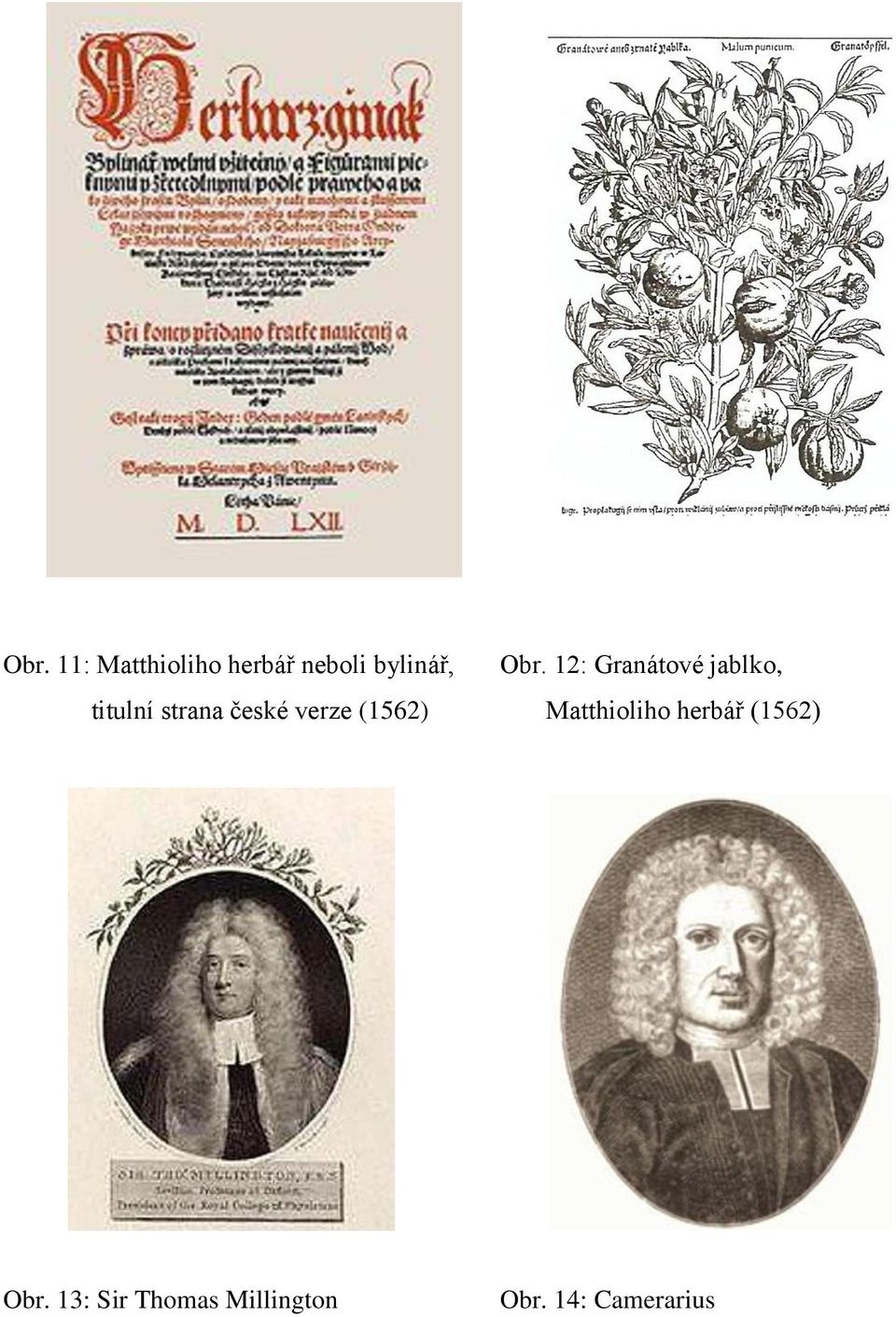 české verze (1562) Matthioliho herbář (1562)