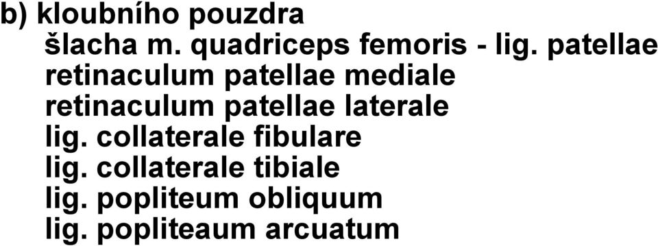 patellae laterale lig. collaterale fibulare lig.