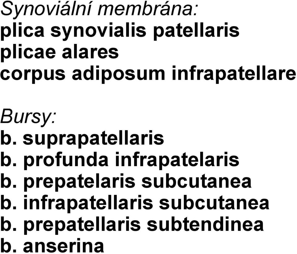 suprapatellaris b. profunda infrapatelaris b.