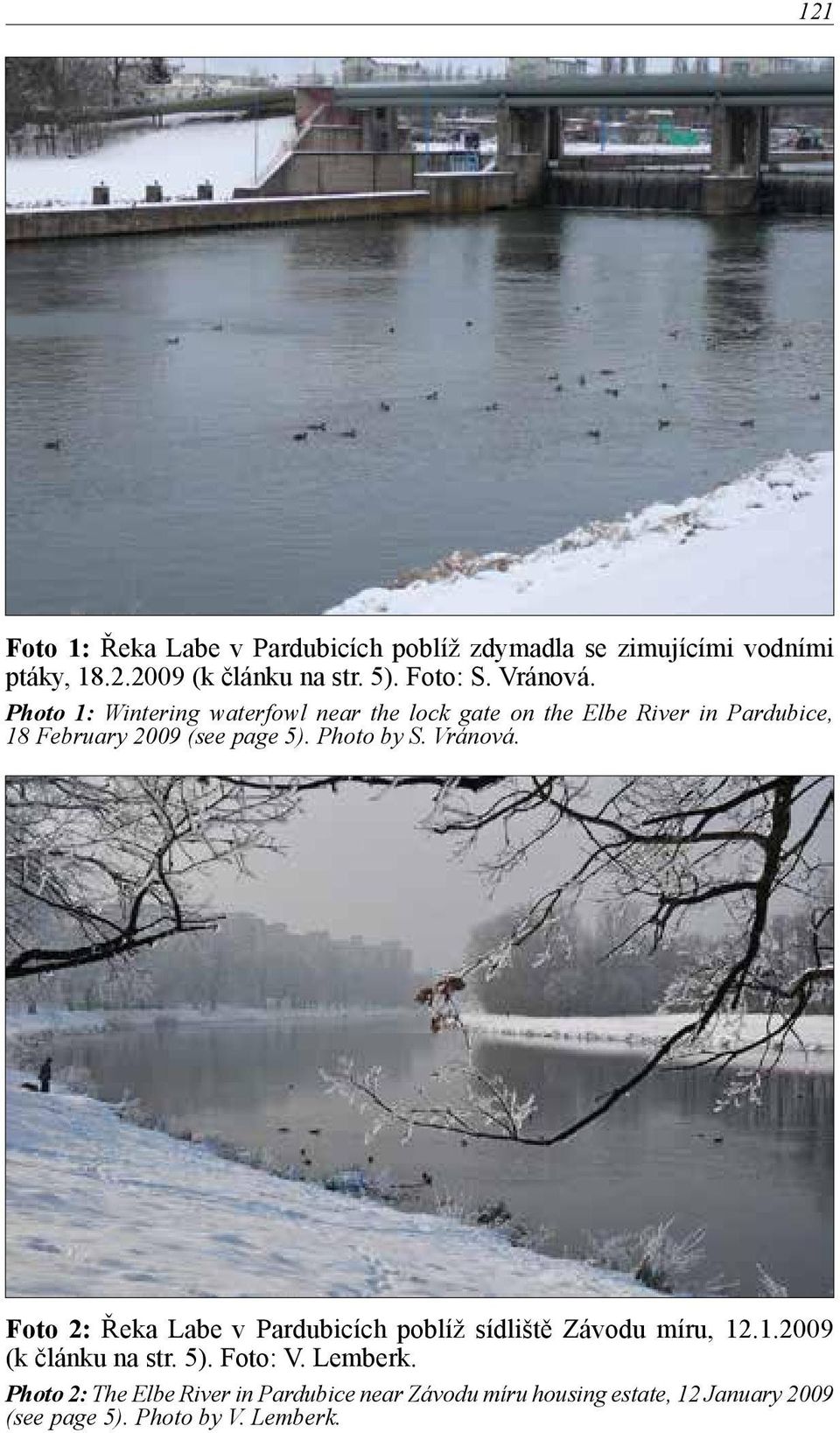 Photo by S. Vránová. Foto 2: Řeka Labe v Pardubicích poblíž sídliště Závodu míru, 12.1.2009 (k článku na str. 5). Foto: V.