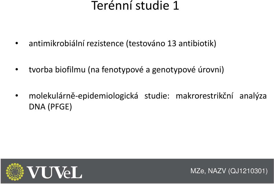 fenotypové a genotypové úrovni)