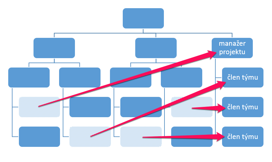 Obr. č. 4 Autonomní projektové řízení 3.4.6.