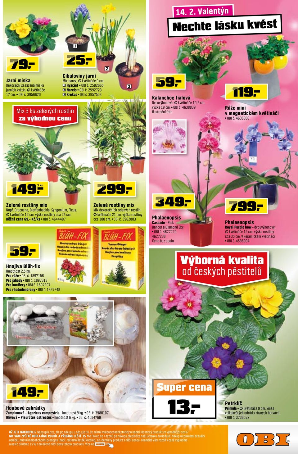 9 Růže mini v magnetickém květináči OBI č. 66080 9,- ks 9,- Zelené rostliny mix Např. Dracaena, Dieffenbachia, Syngonium, Ficus. prů. květináče cm, výška rostliny cca 5 cm.