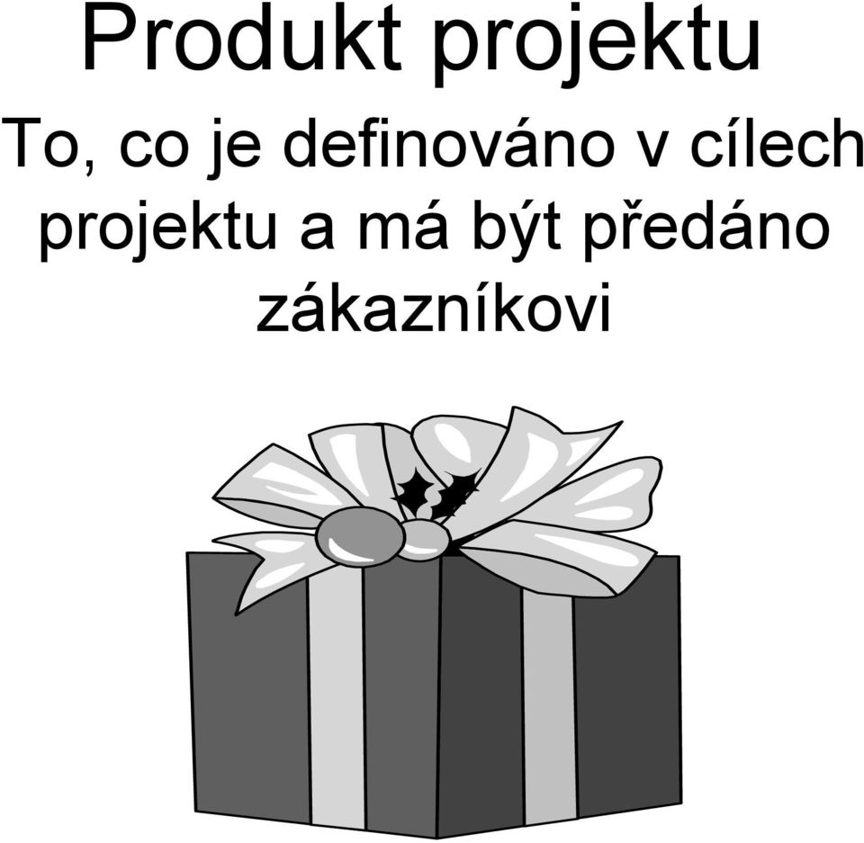 cílech projektu a má