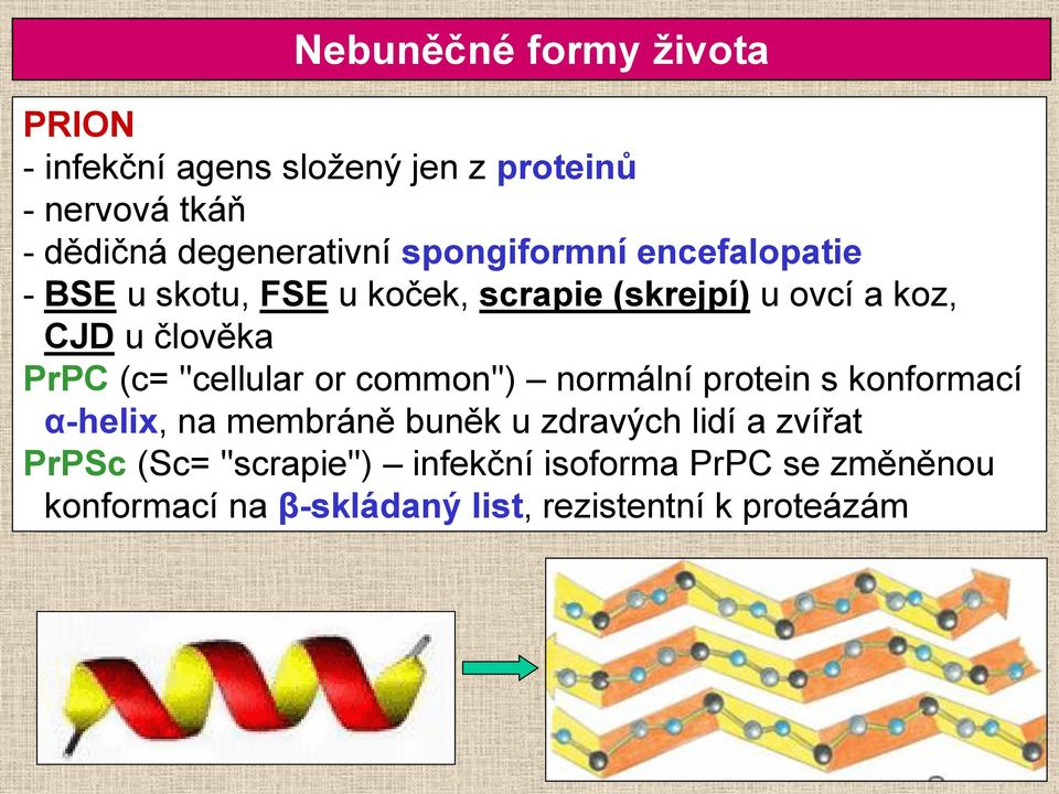 ''cellular or common'') normální protein s konformací α-helix, na membráně buněk u zdravých lidí a zvířat