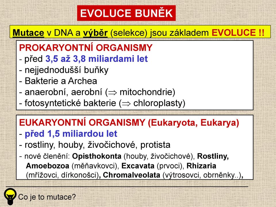 - fotosyntetické bakterie ( chloroplasty) EUKARYONTNÍ ORGANISMY (Eukaryota, Eukarya) - před 1,5 miliardou let - rostliny, houby,