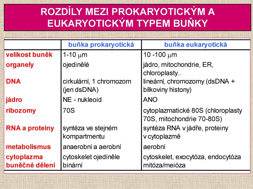 . DNA cirkulární, 1 chromozom (jen dsdna) lineární, chromozomy (dsdna + bílkoviny histony) jádro NE - nukleoid ANO ribozomy 70S cytoplazmatické 80S