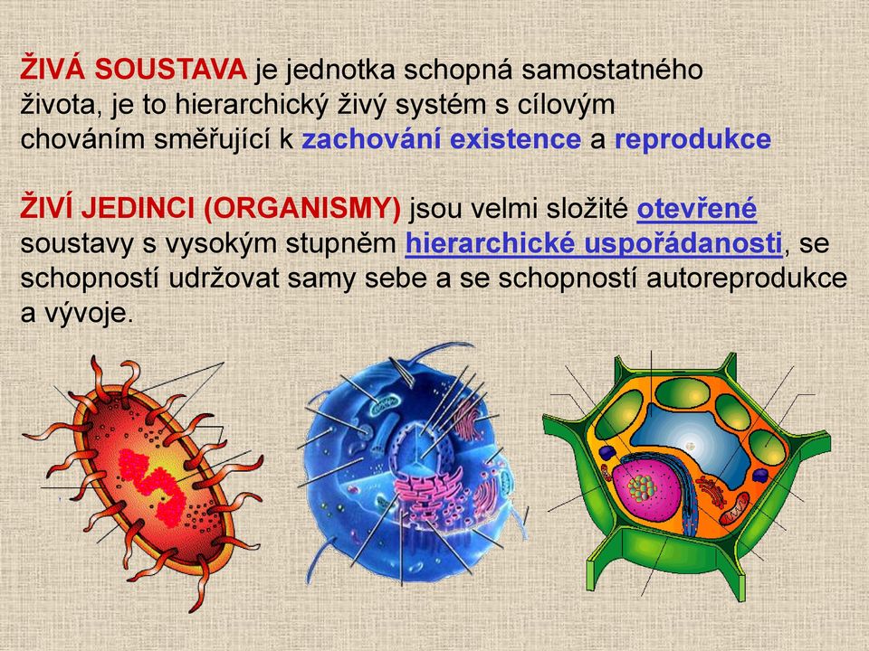 JEDINCI (ORGANISMY) jsou velmi složité otevřené soustavy s vysokým stupněm