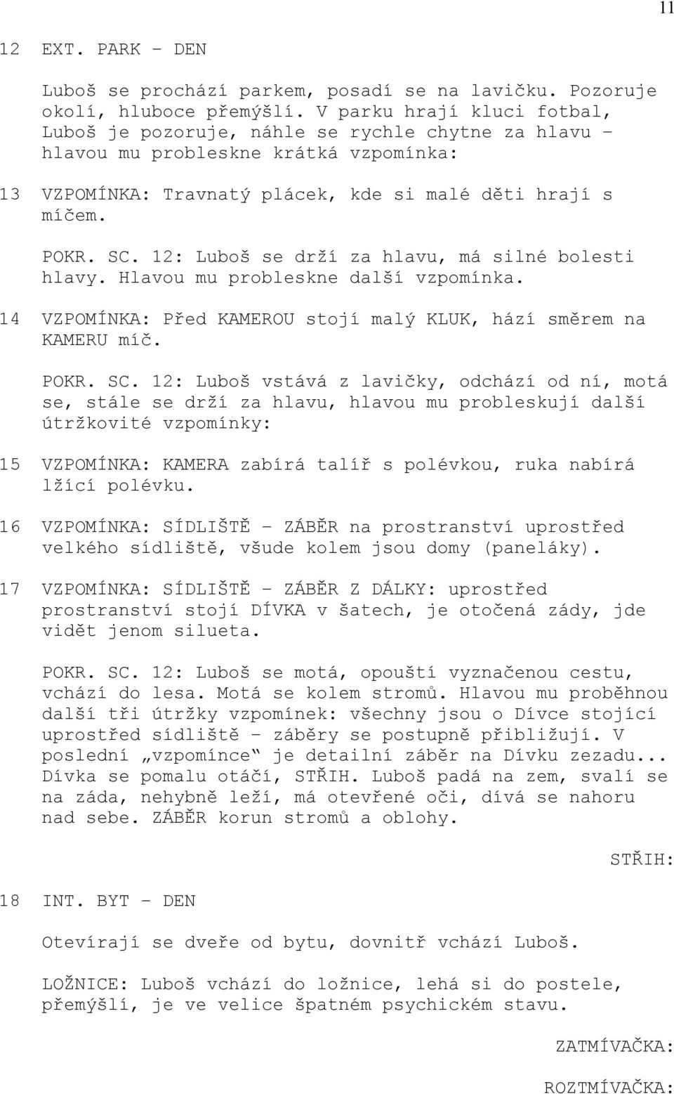 12: Luboš se drží za hlavu, má silné bolesti hlavy. Hlavou mu probleskne další vzpomínka. 14 VZPOMÍNKA: Před KAMEROU stojí malý KLUK, hází směrem na KAMERU míč. POKR. SC.