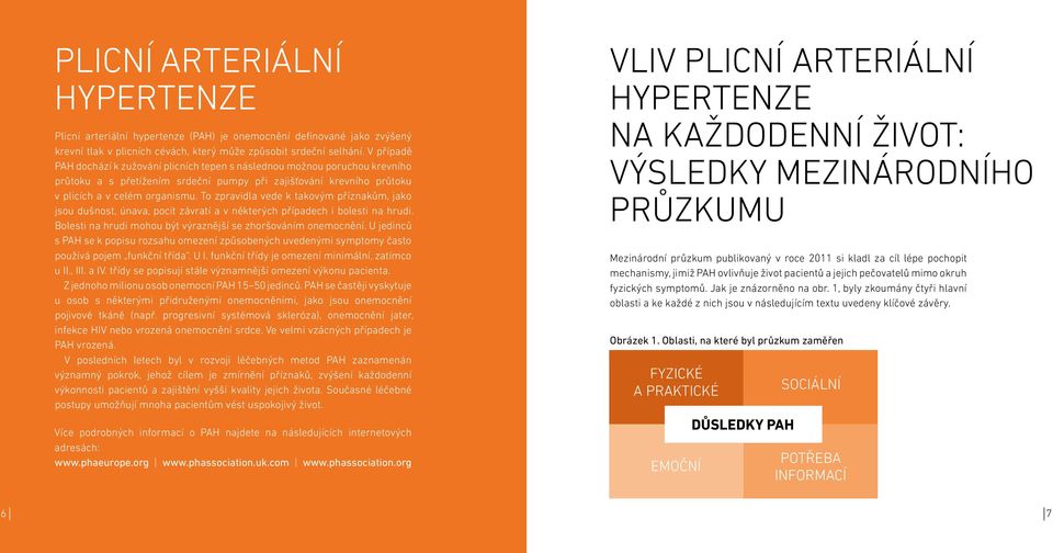 To zpravidla vede k takovým příznakům, jako jsou dušnost, únava, pocit závratí a v některých případech i bolesti na hrudi. Bolesti na hrudi mohou být výraznější se zhoršováním onemocnění.