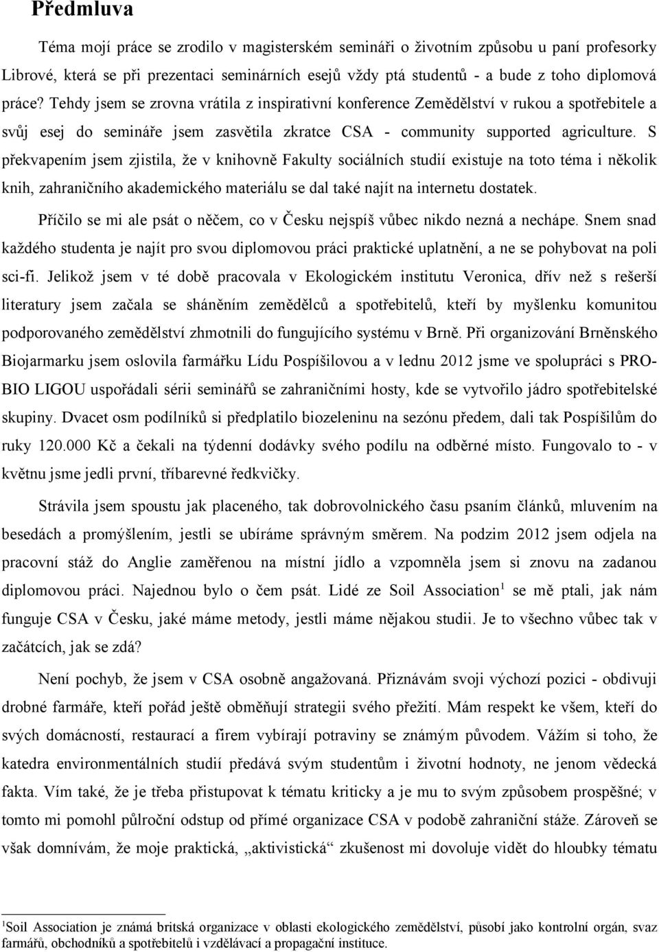 S překvapením jsem zjistila, že v knihovně Fakulty sociálních studií existuje na toto téma i několik knih, zahraničního akademického materiálu se dal také najít na internetu dostatek.