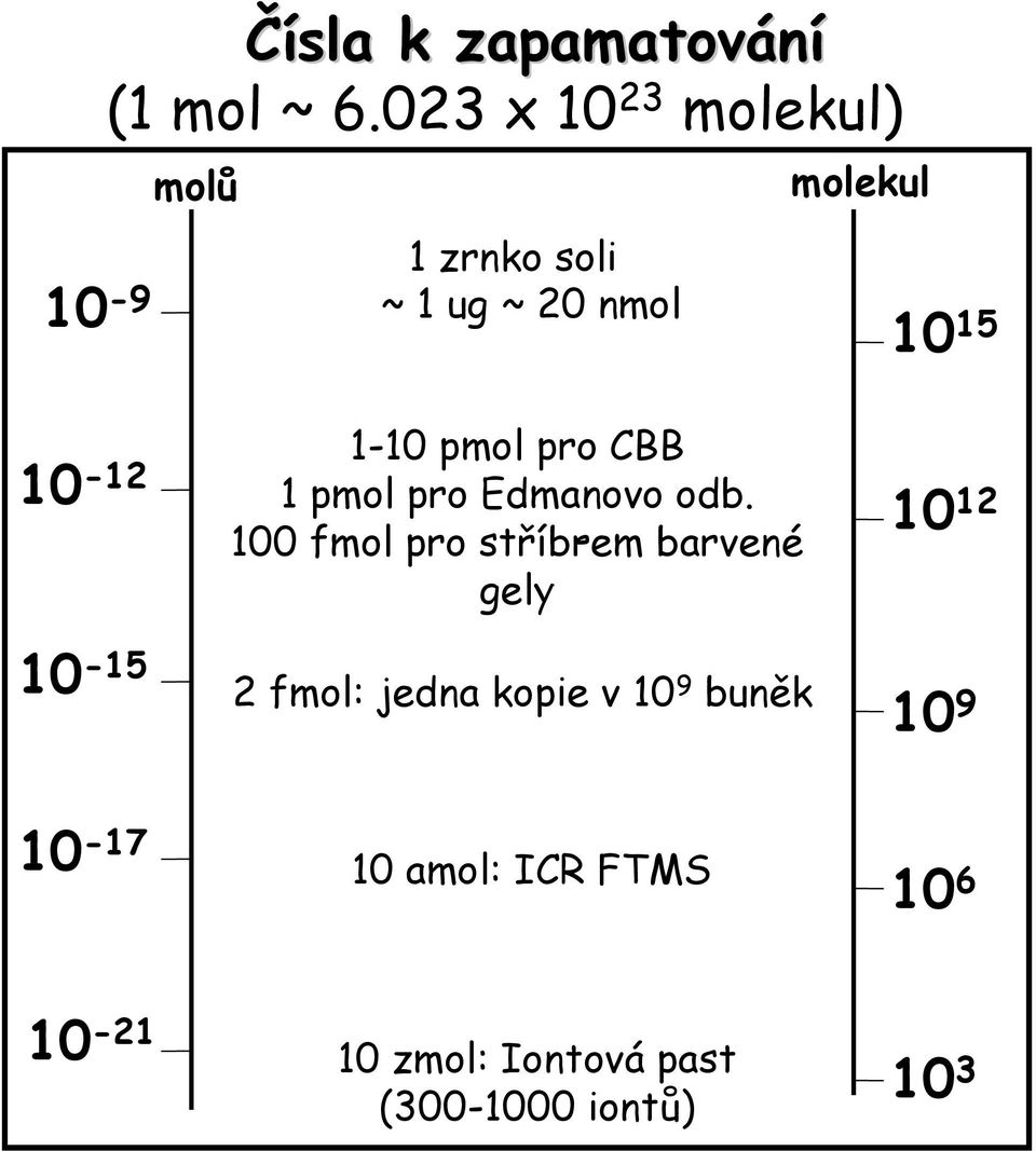 10-15 1-10 pmol pro CBB 1 pmol pro Edmanovo odb.