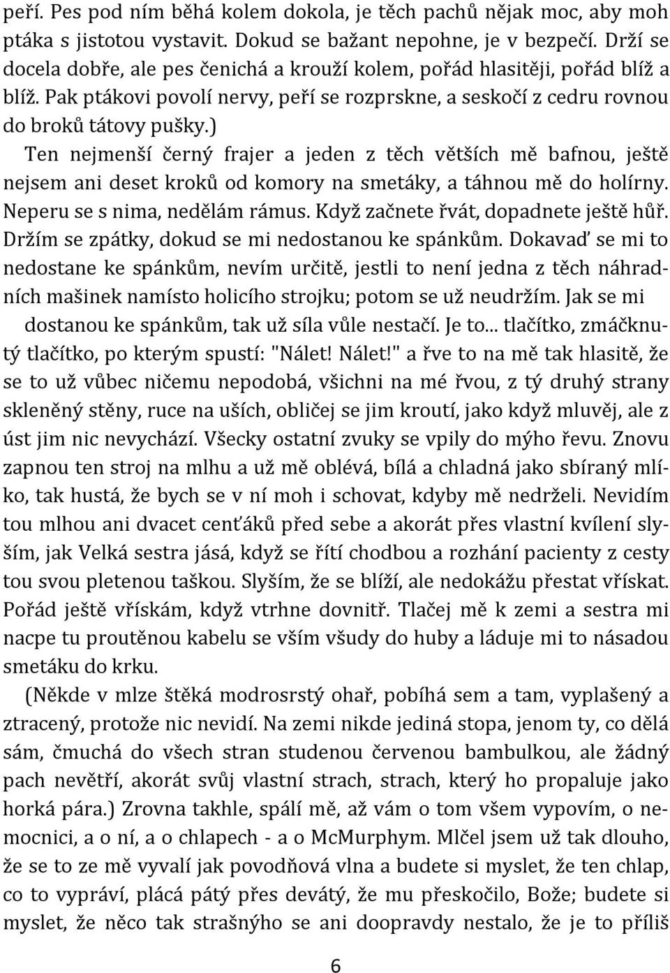 ) Ten nejmenší černý frajer a jeden z těch větších mě bafnou, ještě nejsem ani deset kroků od komory na smetáky, a táhnou mě do holírny. Neperu se s nima, nedělám rámus.