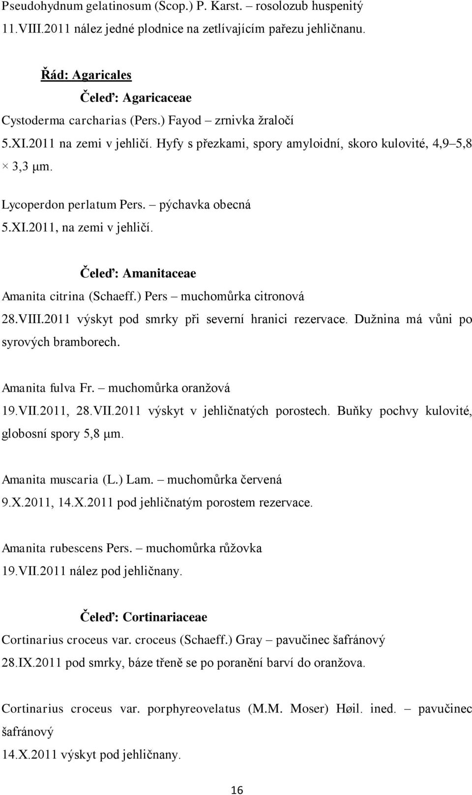 Čeleď: Amanitaceae Amanita citrina (Schaeff.) Pers muchomůrka citronová 28.VIII.2011 výskyt pod smrky při severní hranici rezervace. Duţnina má vůni po syrových bramborech. Amanita fulva Fr.