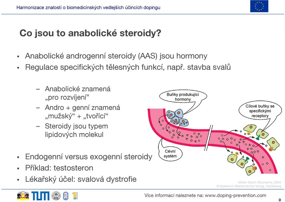 stavba svalů Anabolické znamená pro rozvíjení Andro + genní znamená mužský + tvořící Steroidy jsou typem lipidových