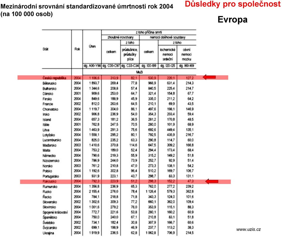 rok 2004 (na 100 000 osob)
