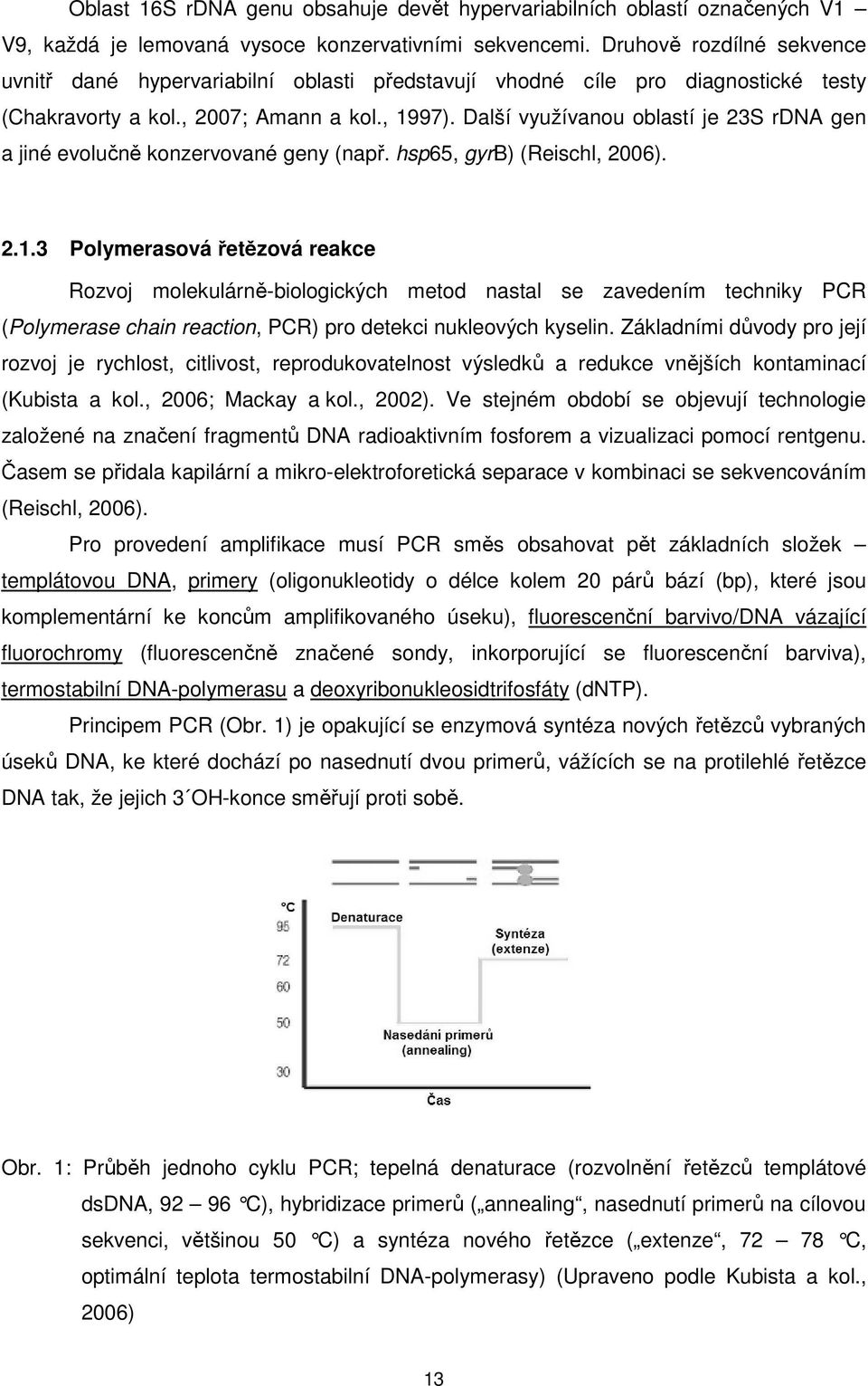 Další využívanou oblastí je 23S rdna gen a jiné evolučně konzervované geny (např. hsp65, gyrb) (Reischl, 2006). 2.1.