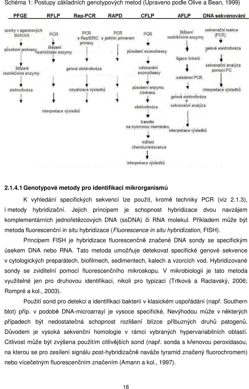 Jejich principem je schopnost hybridizace dvou navzájem komplementárních jednořetězcových DNA (ssdna) či RNA molekul.