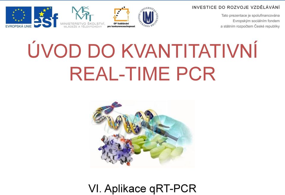 REAL-TIME PCR