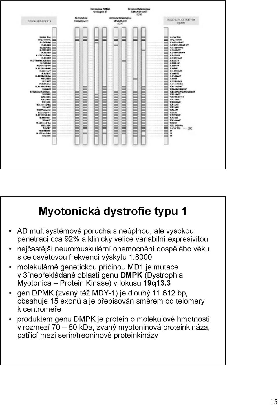 DMPK (Dystrophia Myotonica Protein Kinase) v lokusu 19q13.