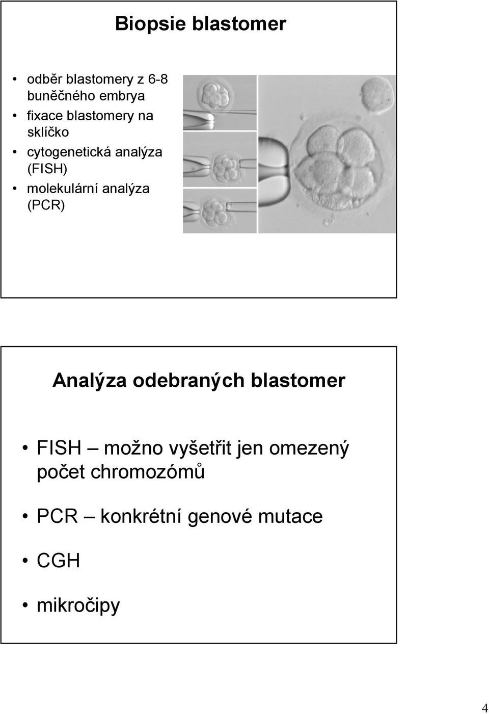 analýza (PCR) Analýza odebraných blastomer FISH možno vyšetřit