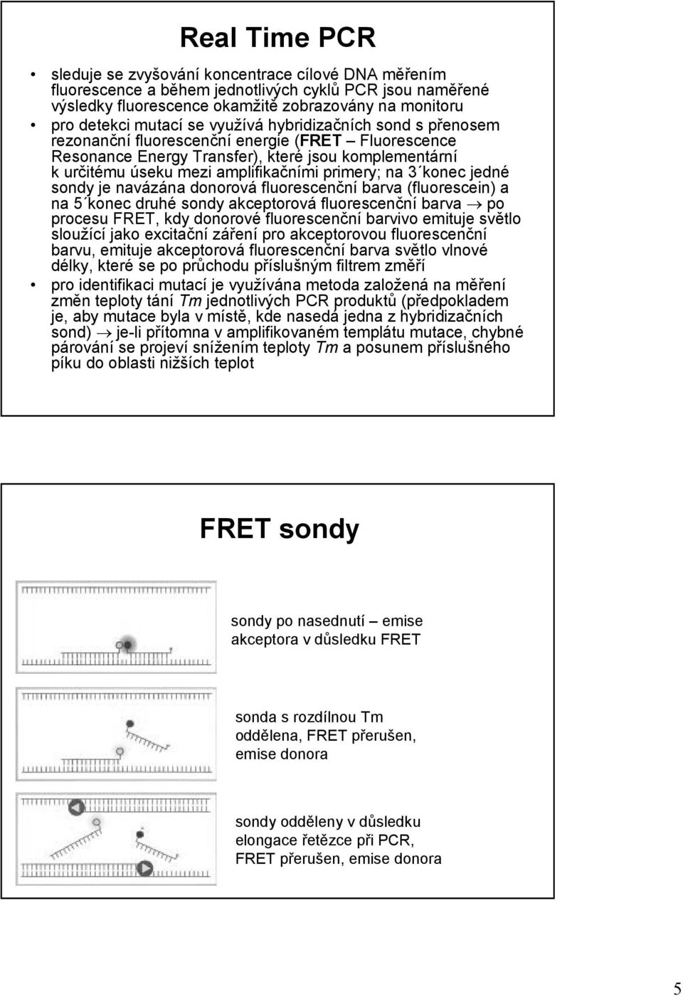 konec jedné sondy je navázána donorová fluorescenční barva (fluorescein) a na 5 konec druhé sondy akceptorová fluorescenční barva po procesu FRET, kdy donorové fluorescenční barvivo emituje světlo