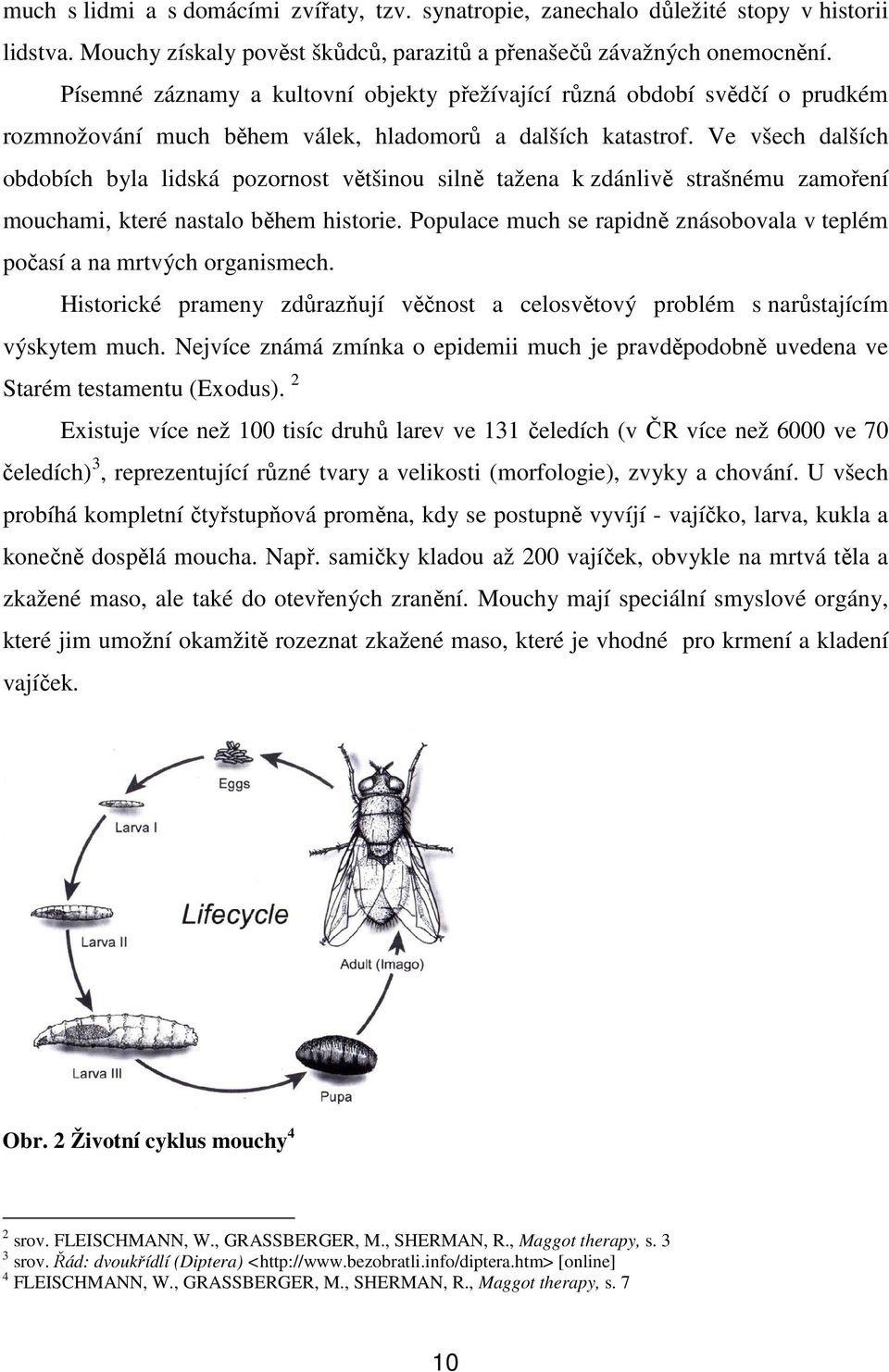 Ve všech dalších obdobích byla lidská pozornost většinou silně tažena k zdánlivě strašnému zamoření mouchami, které nastalo během historie.